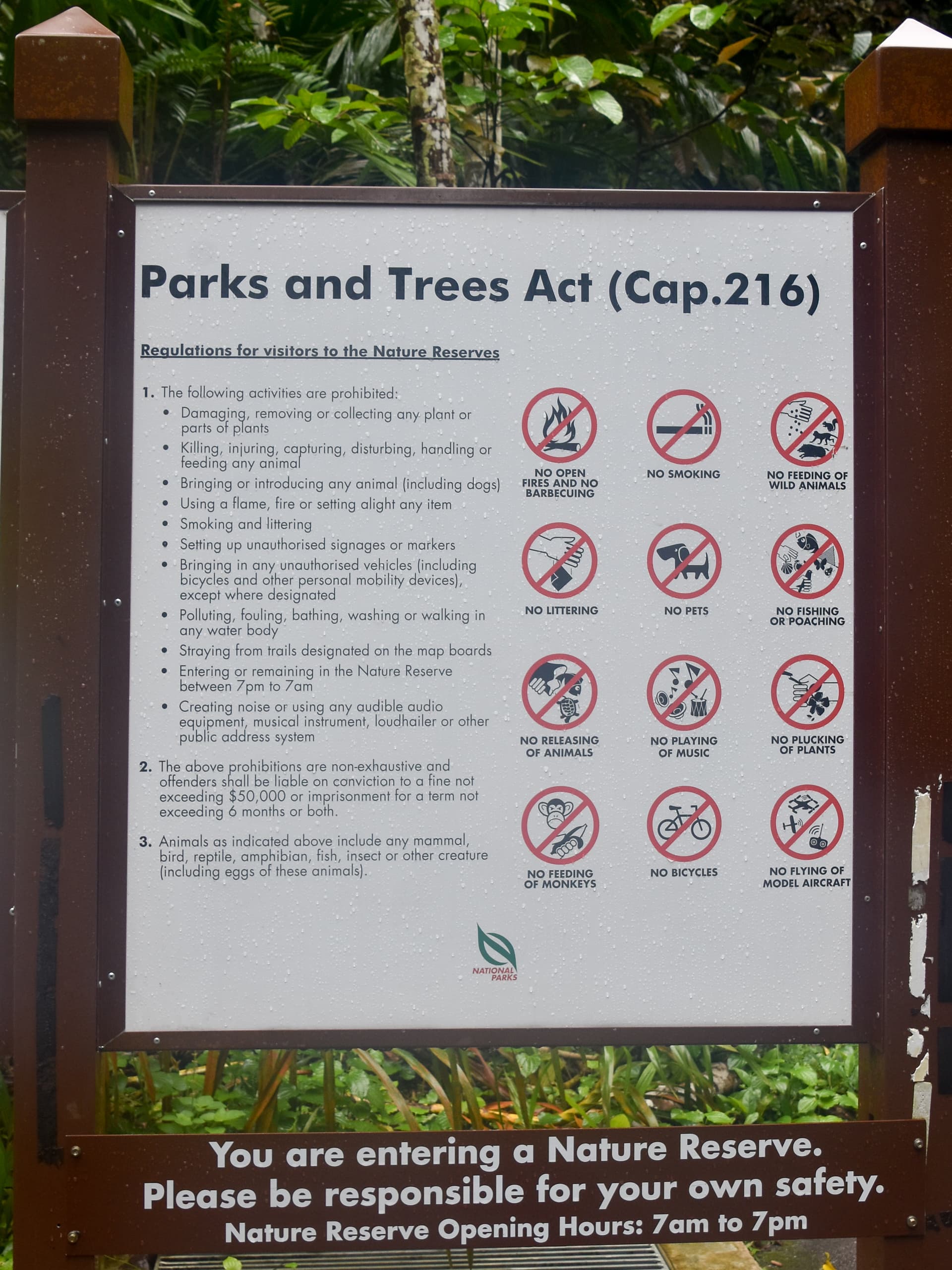 Bukit Timah Nature Reserve