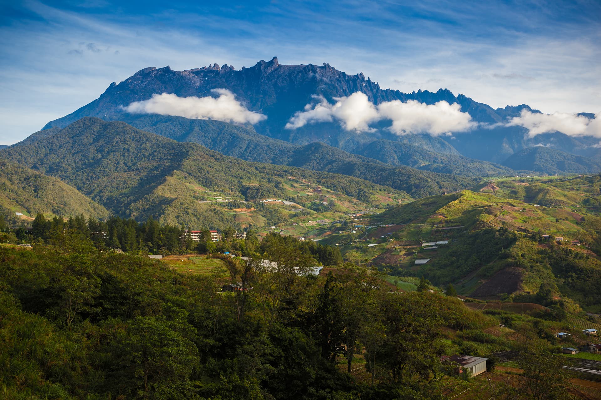 Kinabalu Park (Sabah)