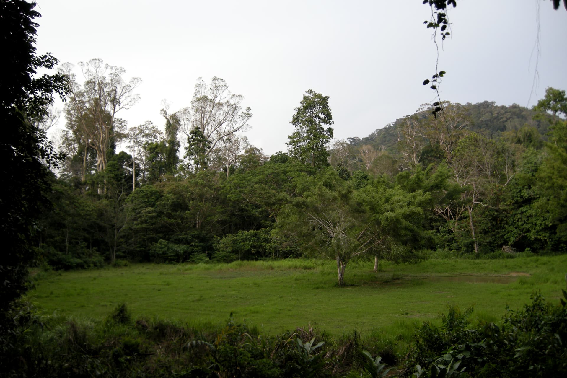 Taman Negara National Park